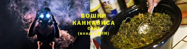 прущие грибы Иннополис