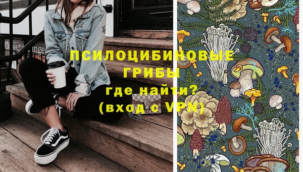 прущий лед Богданович